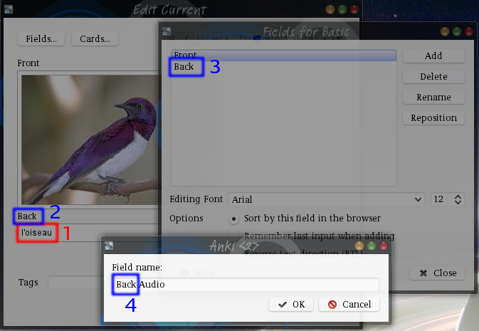 Anki review window with a
picture of a bird in the first field and the word l'oiseau in the
second field. That word and the field name Back are marked. To the
right a dialog with the field names. The word Back is marked. Below a
dialog. Text: Field name. Text input: Back Audio. The
word Back is marked.